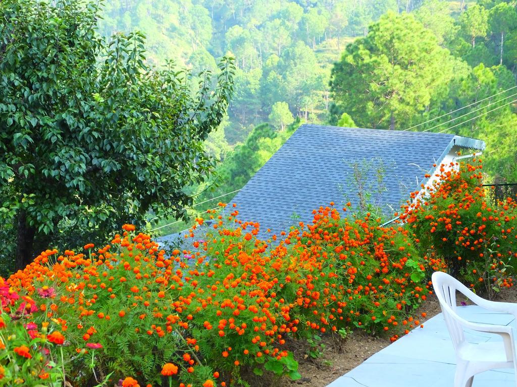 Hostie Sharanam - 2Bhk Pvt Mountain Villa, Majkhali Раникхет Экстерьер фото